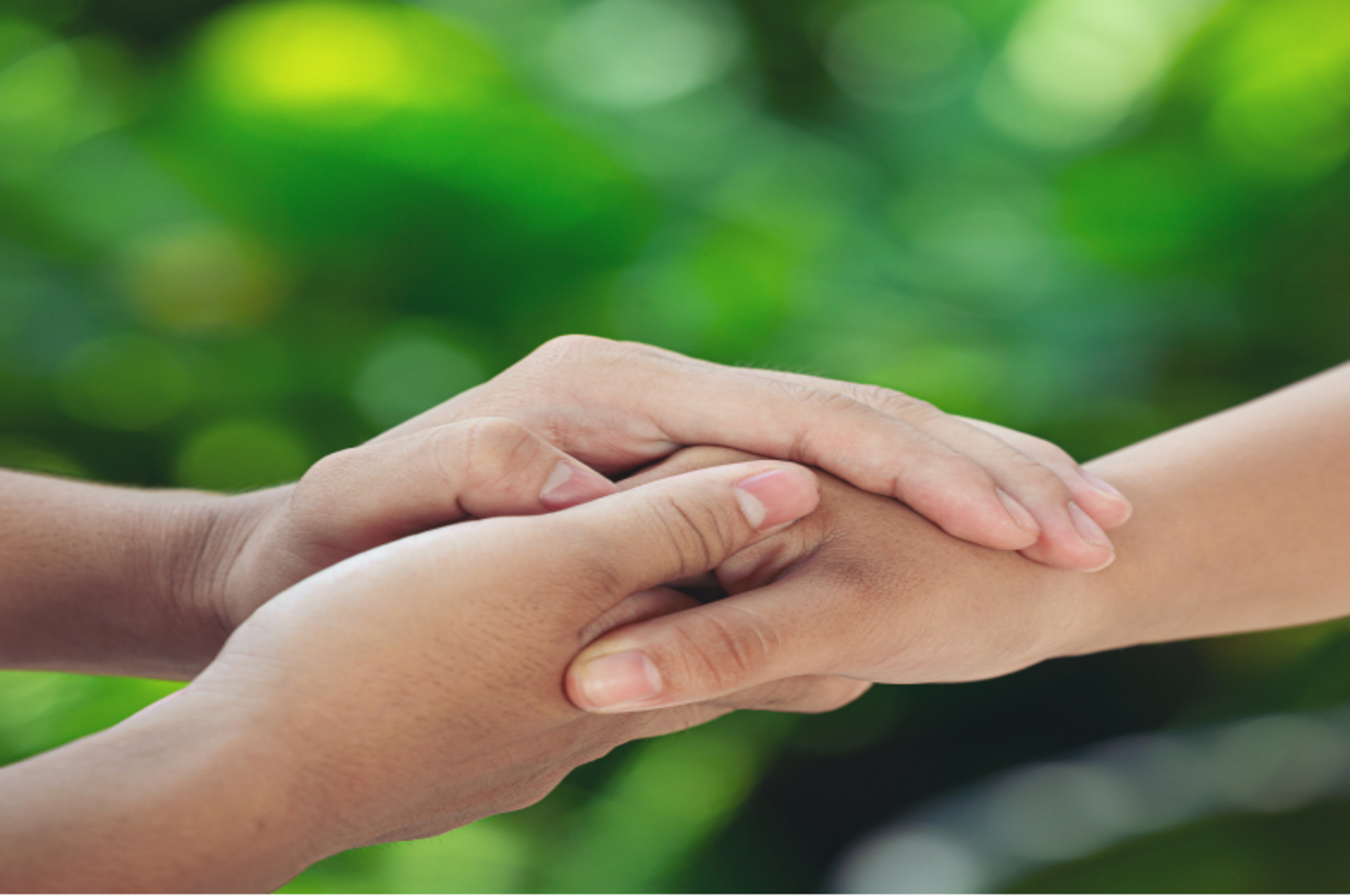 річний абонемент